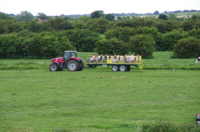 Tractor and Trailer Rides
